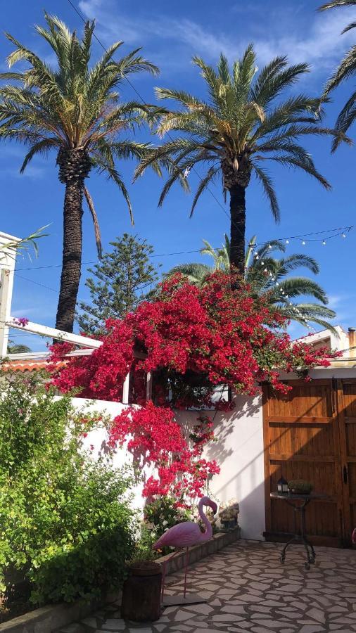 Lo Segador Guest House El Poble Nou del Delta Eksteriør bilde