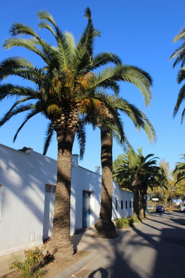 Lo Segador Guest House El Poble Nou del Delta Eksteriør bilde