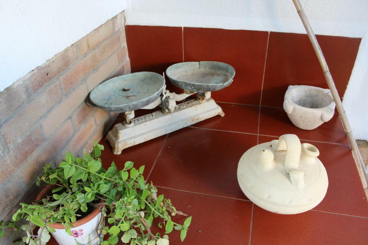 Lo Segador Guest House El Poble Nou del Delta Eksteriør bilde